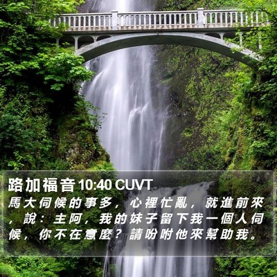 路 加 福 音 10:40 CUVT Bible Verse Image