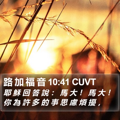 路 加 福 音 10:41 CUVT Bible Verse Image
