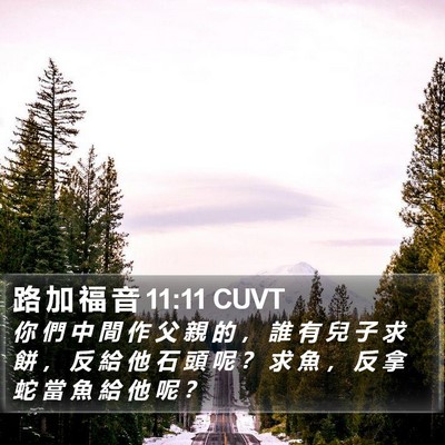 路 加 福 音 11:11 CUVT Bible Verse Image
