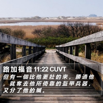 路 加 福 音 11:22 CUVT Bible Verse Image