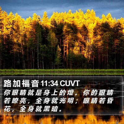 路 加 福 音 11:34 CUVT Bible Verse Image