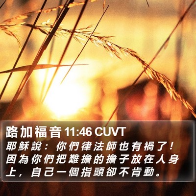 路 加 福 音 11:46 CUVT Bible Verse Image