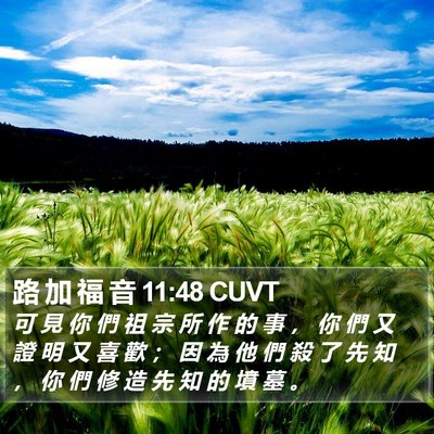 路 加 福 音 11:48 CUVT Bible Verse Image
