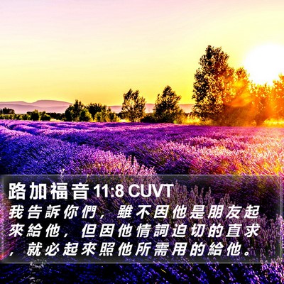 路 加 福 音 11:8 CUVT Bible Verse Image