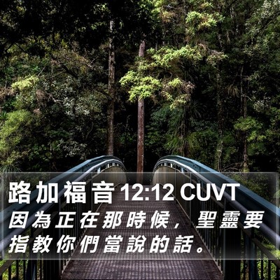 路 加 福 音 12:12 CUVT Bible Verse Image