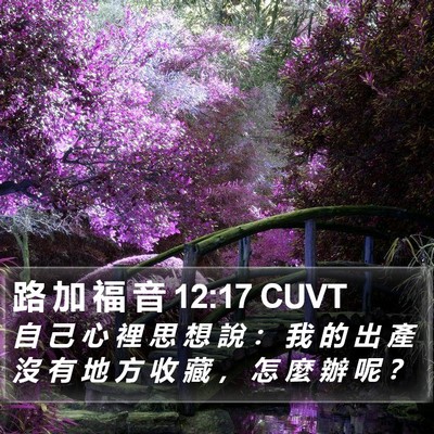 路 加 福 音 12:17 CUVT Bible Verse Image