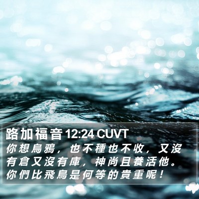 路 加 福 音 12:24 CUVT Bible Verse Image