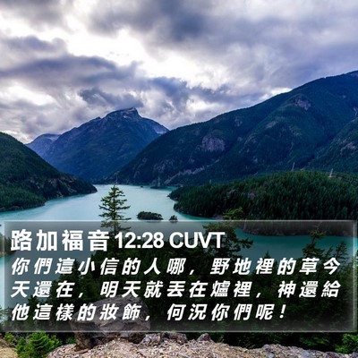 路 加 福 音 12:28 CUVT Bible Verse Image