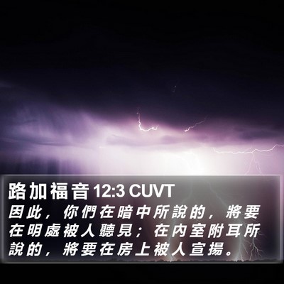 路 加 福 音 12:3 CUVT Bible Verse Image
