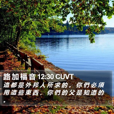 路 加 福 音 12:30 CUVT Bible Verse Image