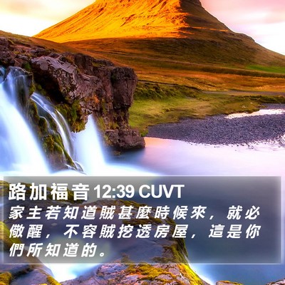 路 加 福 音 12:39 CUVT Bible Verse Image