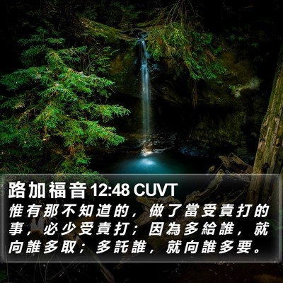 路 加 福 音 12:48 CUVT Bible Verse Image