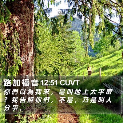 路 加 福 音 12:51 CUVT Bible Verse Image
