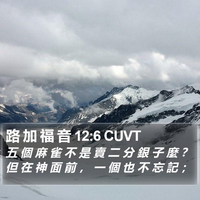 路 加 福 音 12:6 CUVT Bible Verse Image