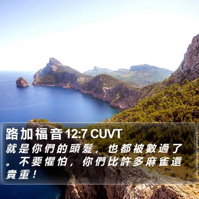 路 加 福 音 12:7 CUVT Bible Verse Image