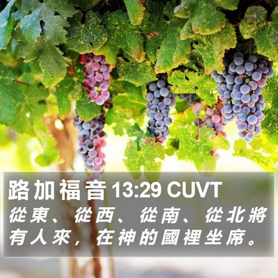 路 加 福 音 13:29 CUVT Bible Verse Image
