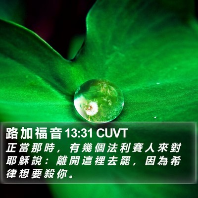 路 加 福 音 13:31 CUVT Bible Verse Image