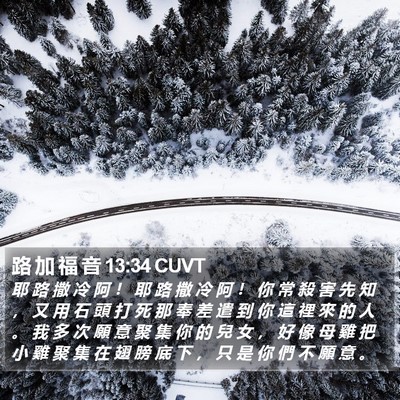 路 加 福 音 13:34 CUVT Bible Verse Image