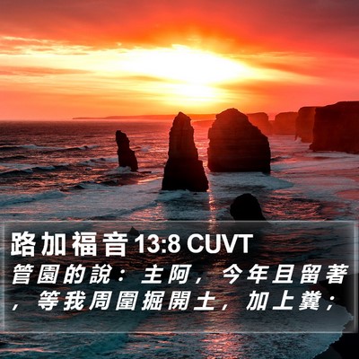 路 加 福 音 13:8 CUVT Bible Verse Image