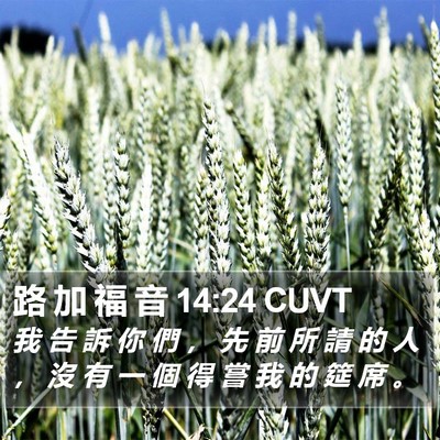 路 加 福 音 14:24 CUVT Bible Verse Image