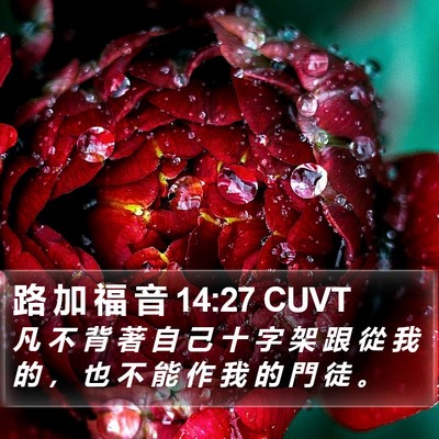 路 加 福 音 14:27 CUVT Bible Verse Image