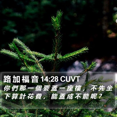 路 加 福 音 14:28 CUVT Bible Verse Image