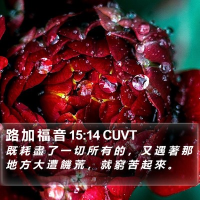 路 加 福 音 15:14 CUVT Bible Verse Image