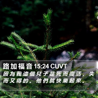 路 加 福 音 15:24 CUVT Bible Verse Image