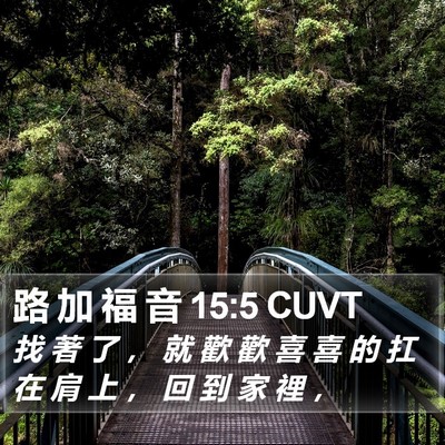 路 加 福 音 15:5 CUVT Bible Verse Image
