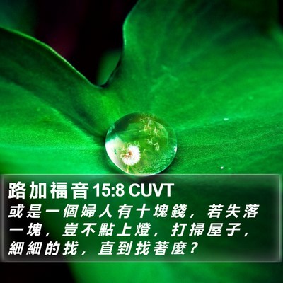 路 加 福 音 15:8 CUVT Bible Verse Image