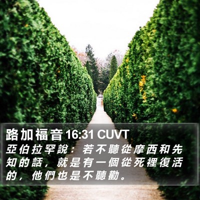 路 加 福 音 16:31 CUVT Bible Verse Image