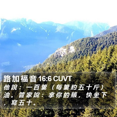 路 加 福 音 16:6 CUVT Bible Verse Image