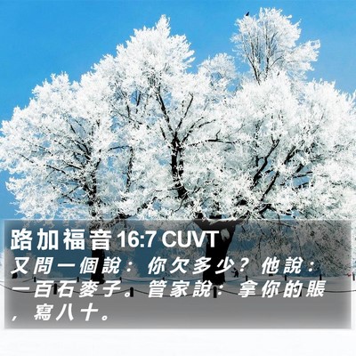 路 加 福 音 16:7 CUVT Bible Verse Image