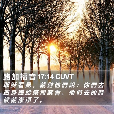 路 加 福 音 17:14 CUVT Bible Verse Image