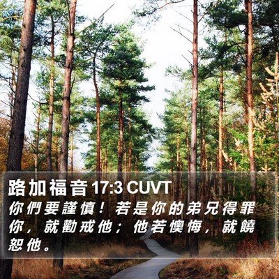 路 加 福 音 17:3 CUVT Bible Verse Image