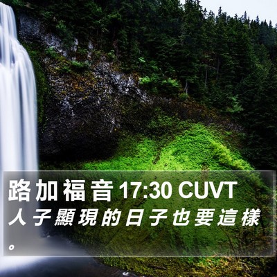 路 加 福 音 17:30 CUVT Bible Verse Image