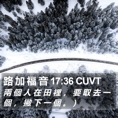 路 加 福 音 17:36 CUVT Bible Verse Image