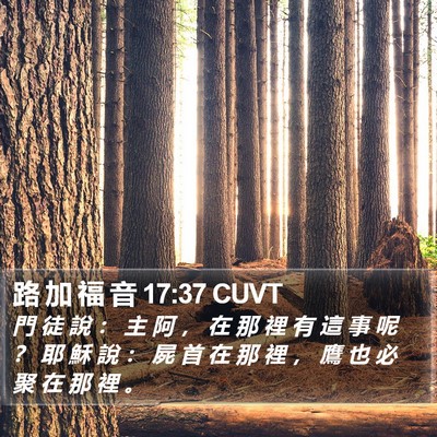路 加 福 音 17:37 CUVT Bible Verse Image