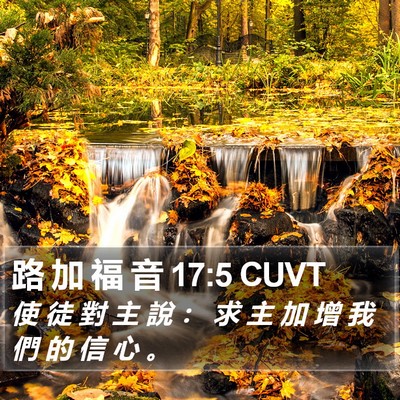 路 加 福 音 17:5 CUVT Bible Verse Image