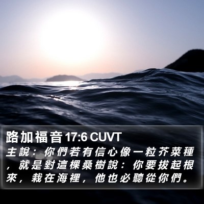 路 加 福 音 17:6 CUVT Bible Verse Image