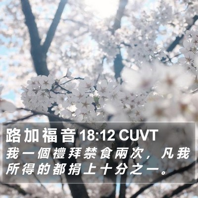 路 加 福 音 18:12 CUVT Bible Verse Image