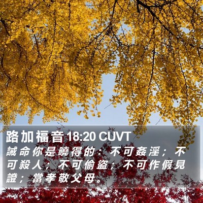 路 加 福 音 18:20 CUVT Bible Verse Image