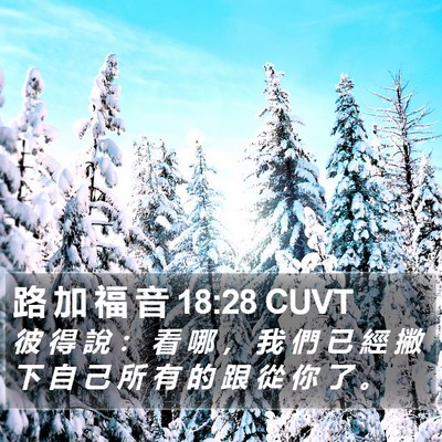 路 加 福 音 18:28 CUVT Bible Verse Image