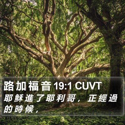 路 加 福 音 19:1 CUVT Bible Verse Image