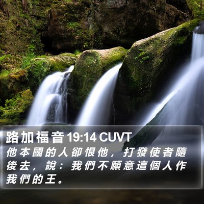 路 加 福 音 19:14 CUVT Bible Verse Image