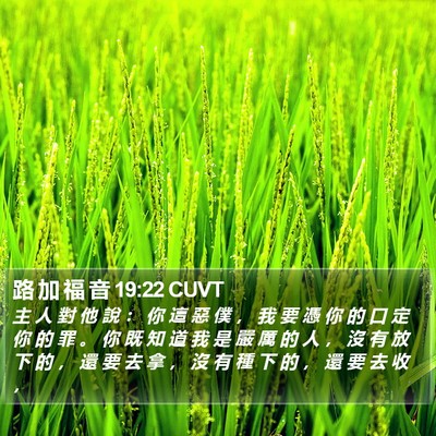 路 加 福 音 19:22 CUVT Bible Verse Image