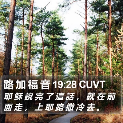 路 加 福 音 19:28 CUVT Bible Verse Image