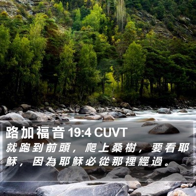 路 加 福 音 19:4 CUVT Bible Verse Image