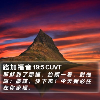 路 加 福 音 19:5 CUVT Bible Verse Image