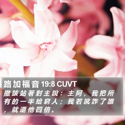 路 加 福 音 19:8 CUVT Bible Verse Image